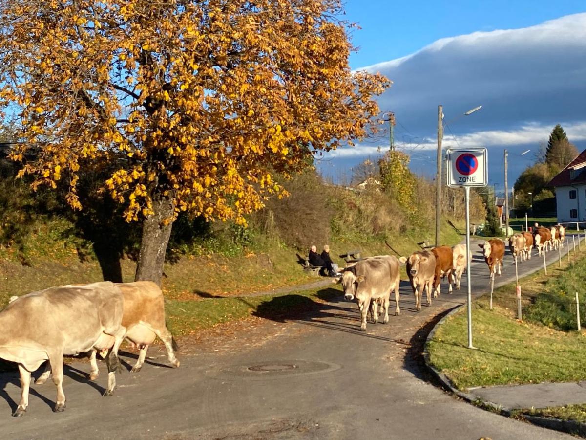 Apartament Im-Oberland - Tal - Bad Kohlgrub Zewnętrze zdjęcie